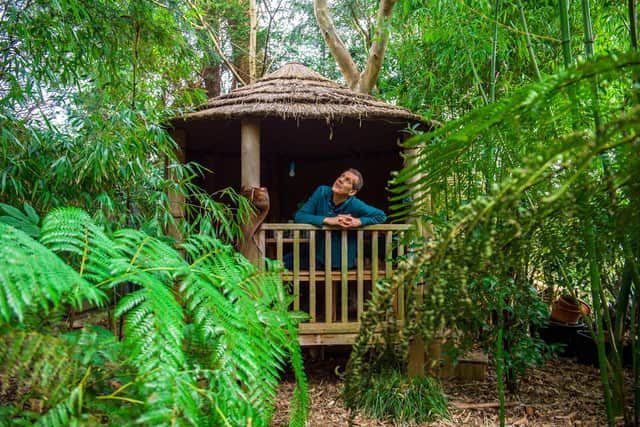 The jungle garden of Dr. Simon Olpin, 69, in Sheffield, South Yorks., February 21 2021.   An eccentric man has devoted the last three decades transforming the 8,000 square foot back garden of his detached house into an incredible ‘jungle’ with 100 foot tall palm trees. See SWNS story SWLEjungle.  Dr Simon Olpin, 69, has been passionate about nature since he was a boy but due to his deathly fear of flying he has never been able to travel the world and see any jungles himself.  But the clinical biochemist has brought the jungle to his suburban garden in Sheffield, South Yorks., after planting his first tree from a ‘small pot’ way back in 1987.  Since then, his ‘jungle’ has grown to have more than 100 species of plants, with massive 100 foot palm trees which tower over the sprawling garden.   When Simon moved to the home in Yorkshire from Cambridge in 1987, he said the garden was a ‘blank canvas’ which required a lot of ‘trial and error’ to get to where it is now.  The green-fingered jungle fanatic said he couldn’t even put a number on the amount of hours or money he has spent perfecting his project over the last three decades. 
