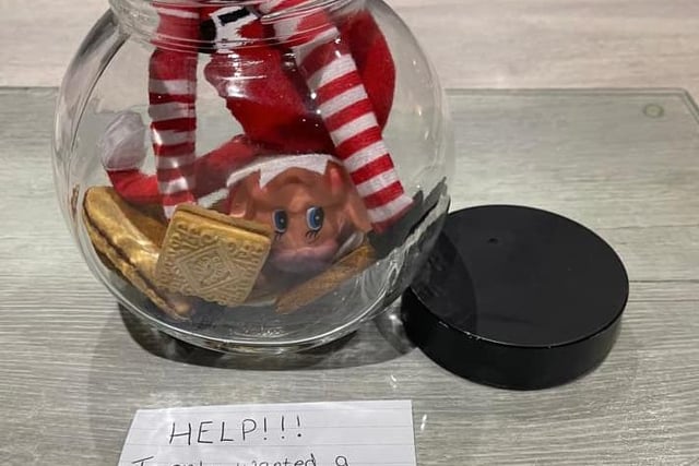 "Help! I only wanted a biscuit," said Holly Joynson's elf.