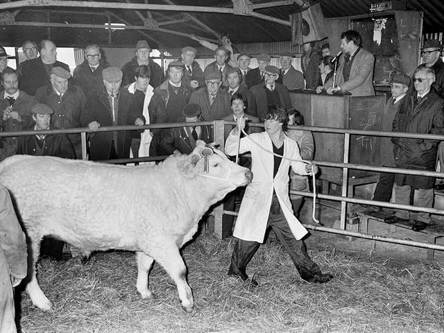 Taken in 1980 - can you spot any familiar faces?