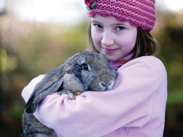 Everything for your furry friends - animal food (frozen and live), bedding and treats - they deliver free of charge to Farnsfield, Southwell, Bilsthorpe, Rainworth, Blidworth, Ravenshead and Calverton, with other areas available on request