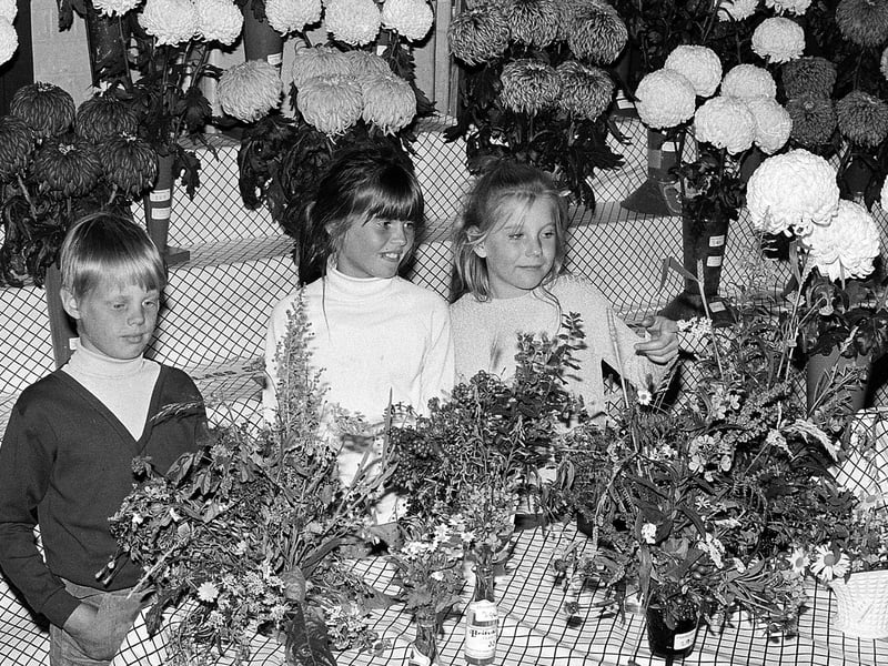 Kirkby's Bentinck Flower Show - can you spot any familiar faces?