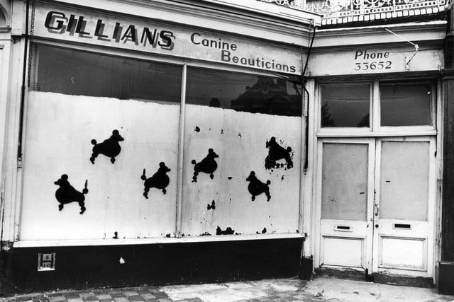 Did you ever take your pooch to Gillians in Fawcett Road? Date unknown.
