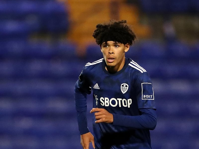 Yet to make a first-team breakthrough at Leeds United but impressed with Scotland under-21s recently.