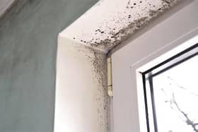 Councillor Sir Steve Houghton reassured renters who were afraid to speak out about damp and mould issues that the council’s officers can tackle landlords on their behalf.
