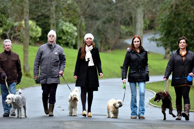 A scene from 2012 showing some of the dog walkers who use Barnes Park to exercise their pets..