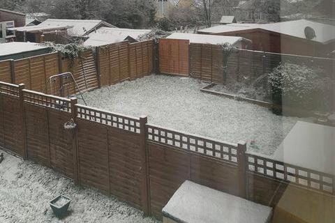 A snowy back garden in Clanfield. Picture: Sarah King