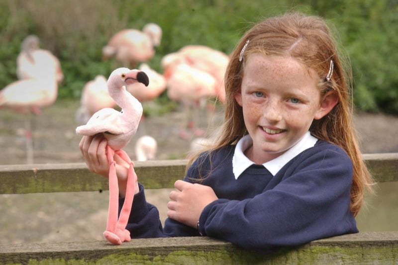 Charlotte Binyon was the winner of a Name A Flamingo competition 15 years ago and won a selection of prizes including this cuddly toy.