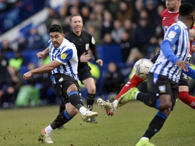 Massimo Luongo is one of four Sheffield Wednesday players who have been offered - but not signed - new deals at Hillsborough.