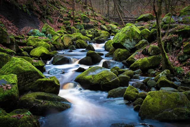 Padley Gorge.