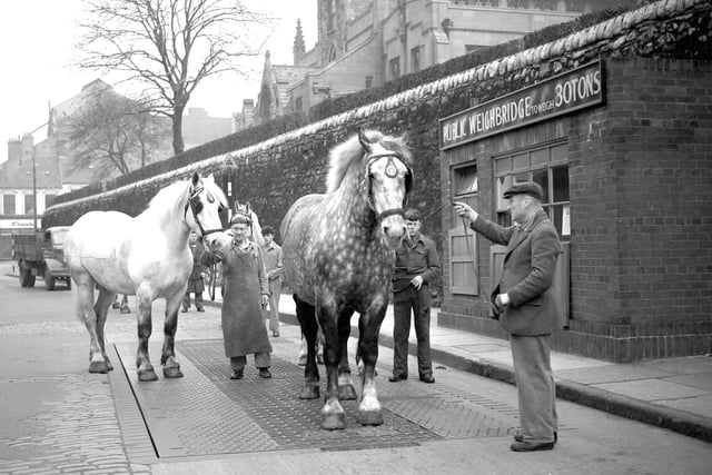 What are your memories of the Vaux drays and horses? Share them by emailing chris.cordner@jpimedia.co.uk.