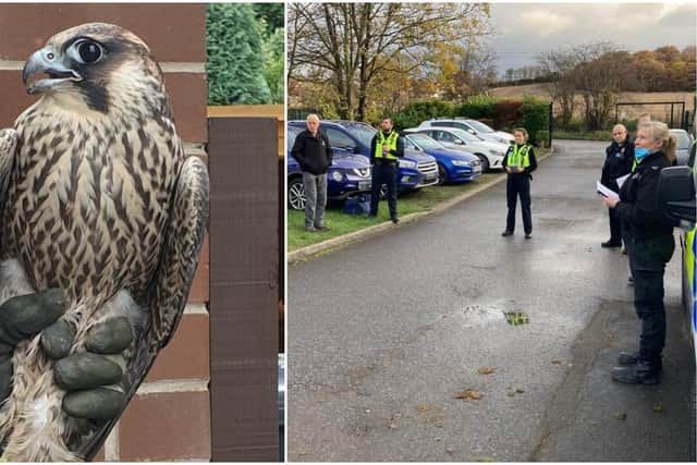 Officers being briefed before a house raid in connection with a poisoned peregrine falcon.