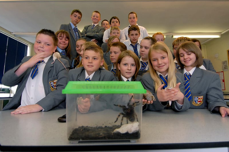A flashback to 2007 and these St Joseph's RC Comprehensive School students enjoyed a visit from Zoolab.