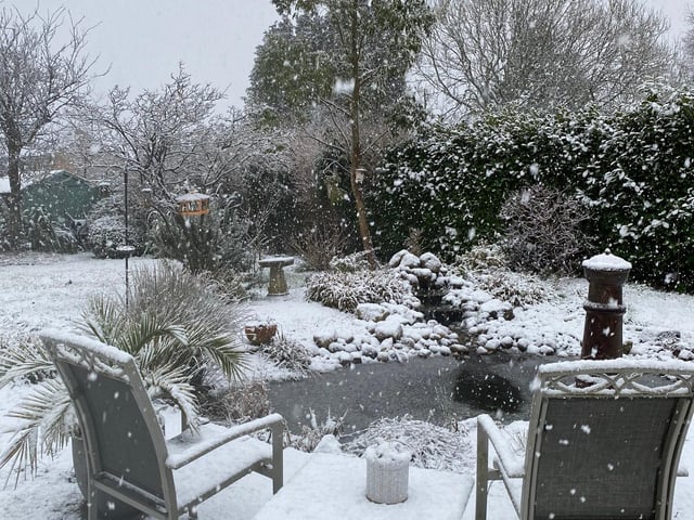 A snowy garden in Clanfield. Picture: Melissa Hawkins