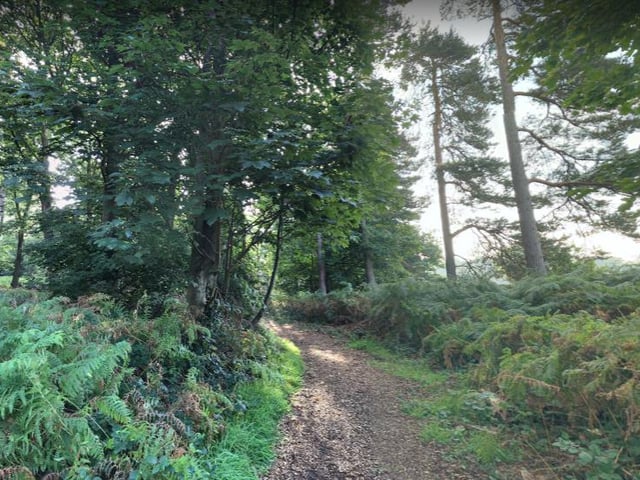 Treat yourself to a long picturesque walk at Clumber park with a group of family or friends.