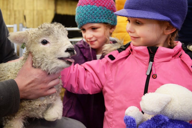 Lambing season at Whirlow Hall Farm. Pictured are Blossom Ogden, right, and Elsie Lawrence meeting Alfie