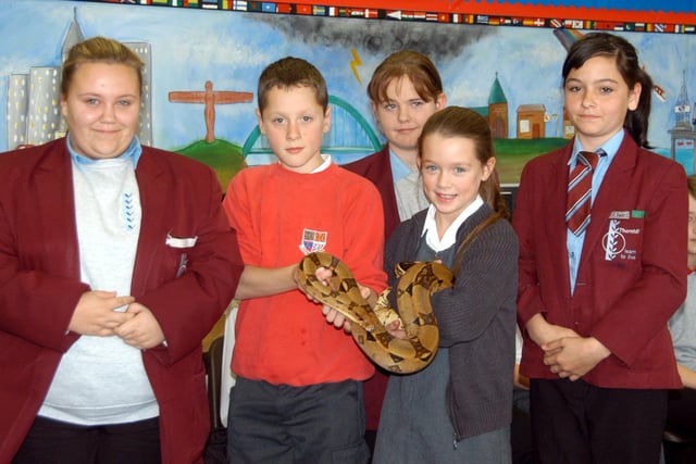 A visit by Zoolab to Thornhill School got the interest of these students in 2007. Does this bring back memories?