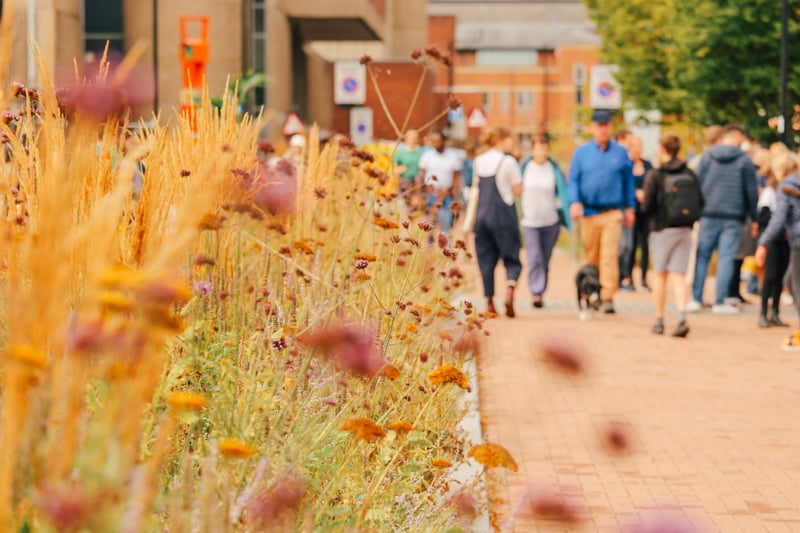 Organisers say that one of the reasons the area was chosen was because of the plots of beautiful wild flowers that have been planted on Castlegate and West Bar in the city centre