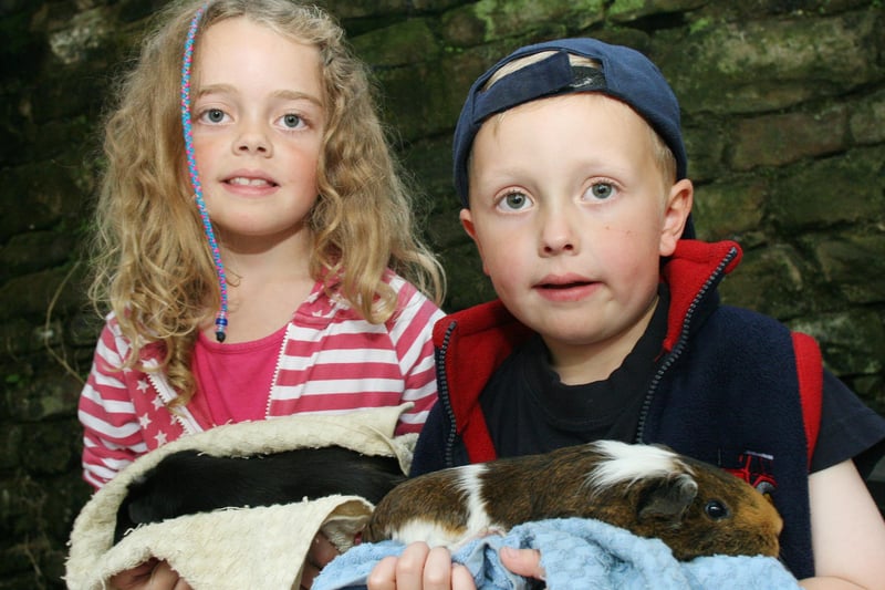 Florence and Joseph Taberner, of Flagg, learned how to hold a guinea pig at the Young Farmers event in the farmyard at Chatsworth House in 2010.