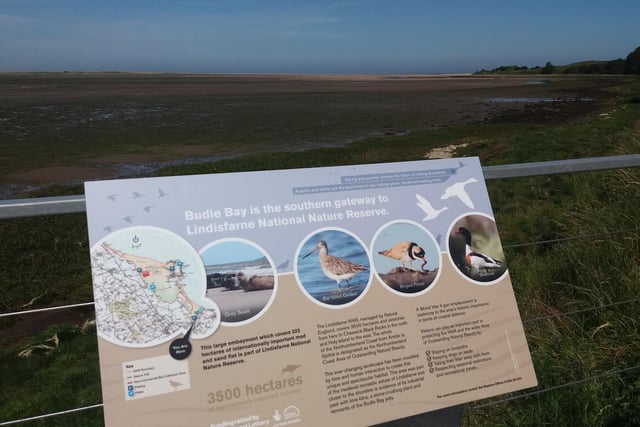 The wildlife-rich mudflats of Budle Bay at low tide from the viewing area.