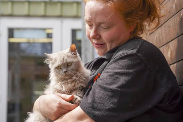 Feature on Rain Rescue Animal Shelter.Charlotte Collins with Mochi. Picture Scott Merrylees