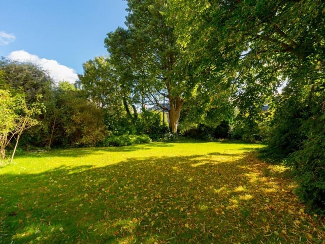 Rear garden.