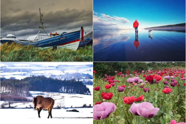 Gazette readers have been sharing their favourite photographs taken this year.