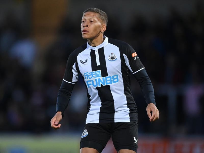 Gayle is a natural goalscorer but struggles to do it consistently in the Premier League. With Andy Carroll gone, he's the only out-and-out striker Bruce can turn to if Wilson picks up an injury.
