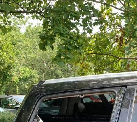 Police smashed the rear window to retrieve the puppy.