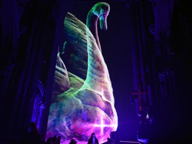 The light show included animals that are native to Doncaster.