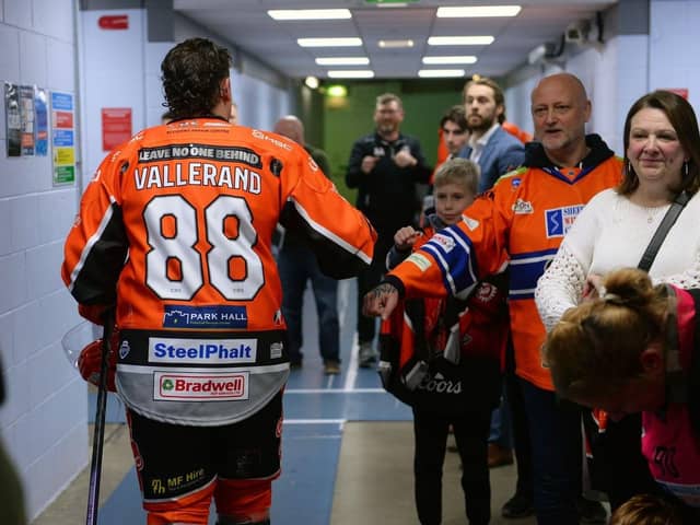 Sheffield Steelers on their way back