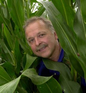 Maize farmer David Chappell, Hatfield, 2000.