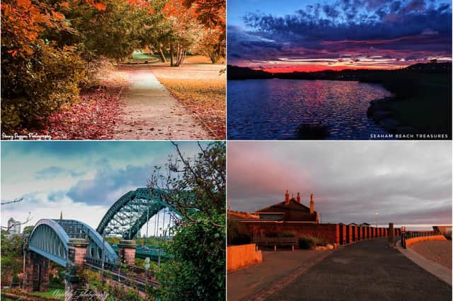 Echo readers have been sharing their favourite pictures taken in and around Sunderland.