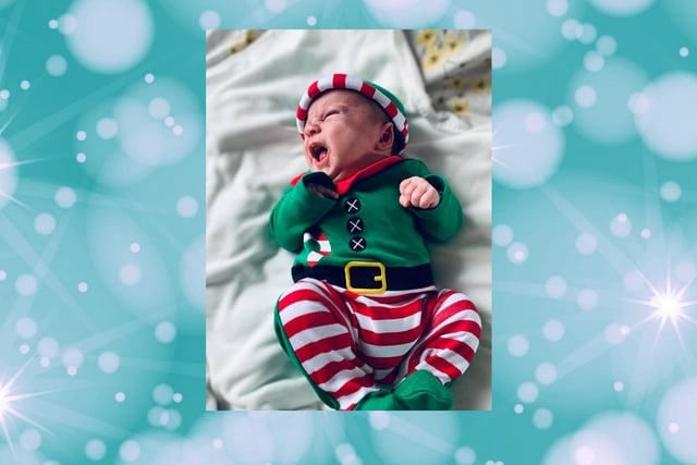 Emily Norris says: "My little elf Theodore with his very own little elf ear, 8 weeks old."