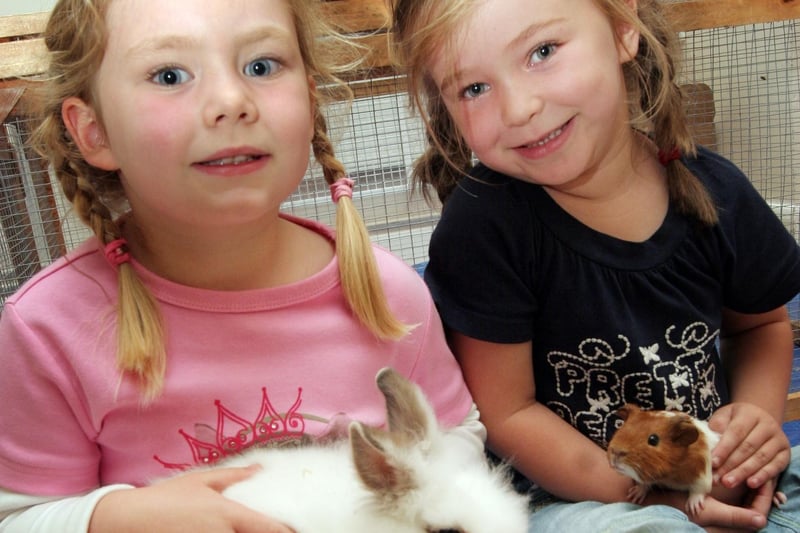 Brooke Dennis and Tamzin Birken found some new pals when a petting zoo visited the kids club at Abbotsford Community Centre, Ilkeston, in 2007.