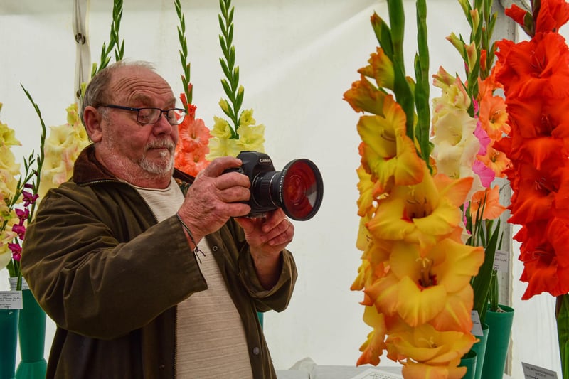 Mike Coull photographing some of the entries in the National Gladiolus Society Exhibition.