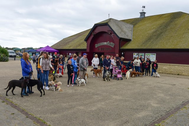 Dog owners setting off at last year's Alice House Hospice Dogs' Big Day Out at Summerhill.