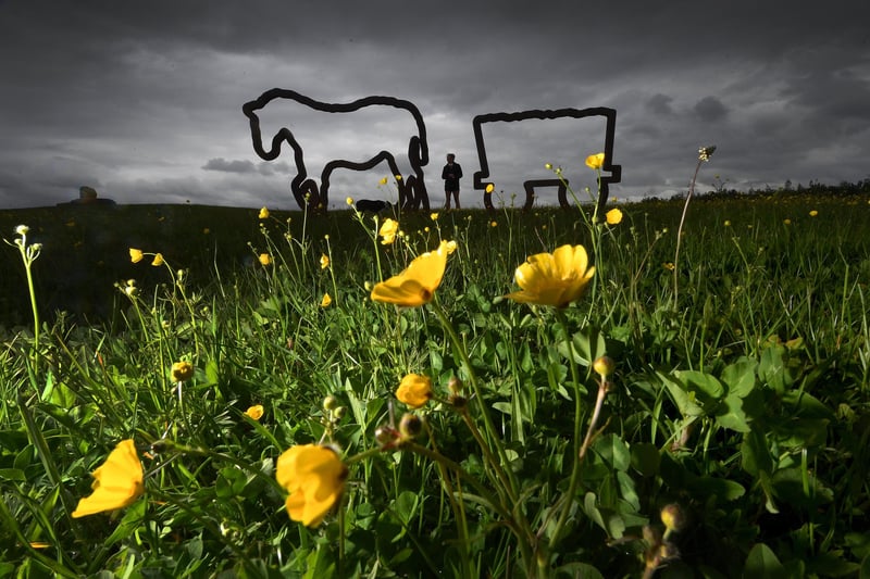 The Pit Pony Sculpture, on the old Kiveton Park Colliery, Kiveton Community Woodland. You can see why Hannah Rose said: "S26 Is a lovely area. Specifically Kiveton, Wales and Harthill."