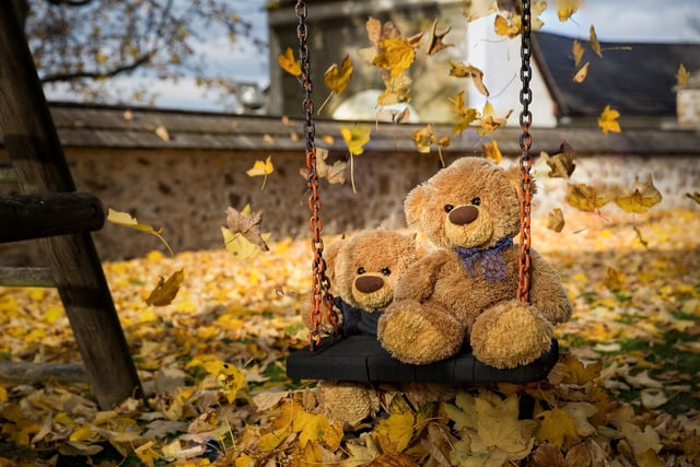John James and Bob the teddy bear at Weitra castle, Austria in a perfect autumn scene. 
These adorable teddy bears could be the world's most well-travelled cuddly toys - as their photographer owner has chronicled their adventures in 27 different countries. Christian Kneidinger, 57, has been travelling with his teddy bears, named John and Bob since 2014 - and his taken them to some of the world's most famous landmarks. The teddy bears have dressed up in traditional Emirati clothing to visit the Sultan's Palace in Oman, and have braved the cold on a glacier on Lofoten Island in Norway.