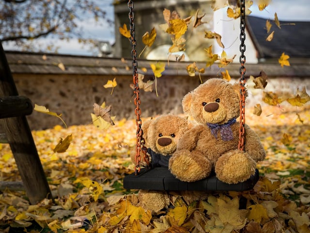 John James and Bob the teddy bear at Weitra castle, Austria in a perfect autumn scene. 
These adorable teddy bears could be the world's most well-travelled cuddly toys - as their photographer owner has chronicled their adventures in 27 different countries. Christian Kneidinger, 57, has been travelling with his teddy bears, named John and Bob since 2014 - and his taken them to some of the world's most famous landmarks. The teddy bears have dressed up in traditional Emirati clothing to visit the Sultan's Palace in Oman, and have braved the cold on a glacier on Lofoten Island in Norway.