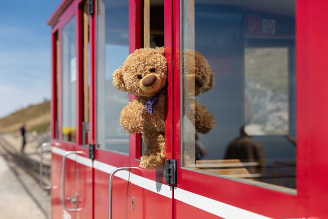 John James the teddy bear on a train ride to peak of Schafberg in Austria.
These adorable teddy bears could be the world's most well-travelled cuddly toys - as their photographer owner has chronicled their adventures in 27 different countries. Christian Kneidinger, 57, has been travelling with his teddy bears, named John and Bob since 2014 - and his taken them to some of the world's most famous landmarks. The teddy bears have dressed up in traditional Emirati clothing to visit the Sultan's Palace in Oman, and have braved the cold on a glacier on Lofoten Island in Norway.