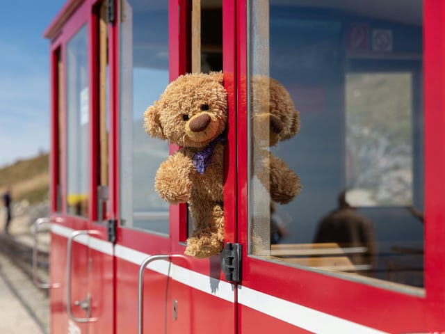 John James the teddy bear on a train ride to peak of Schafberg in Austria.
These adorable teddy bears could be the world's most well-travelled cuddly toys - as their photographer owner has chronicled their adventures in 27 different countries. Christian Kneidinger, 57, has been travelling with his teddy bears, named John and Bob since 2014 - and his taken them to some of the world's most famous landmarks. The teddy bears have dressed up in traditional Emirati clothing to visit the Sultan's Palace in Oman, and have braved the cold on a glacier on Lofoten Island in Norway.