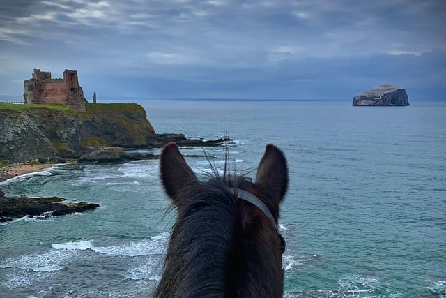 What a view - Tantallon Castle and the Bass Rock