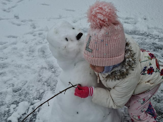 Someone has made a new best friend. Sent in by Terry Hill.