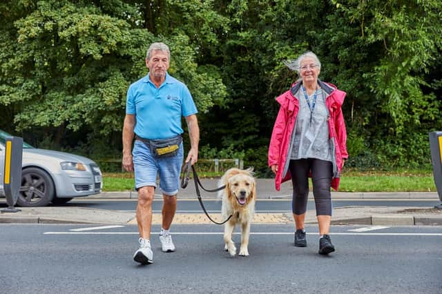 There's an urgent need for new Trainee Guide Dog Fosterer volunteers in Sheffield
