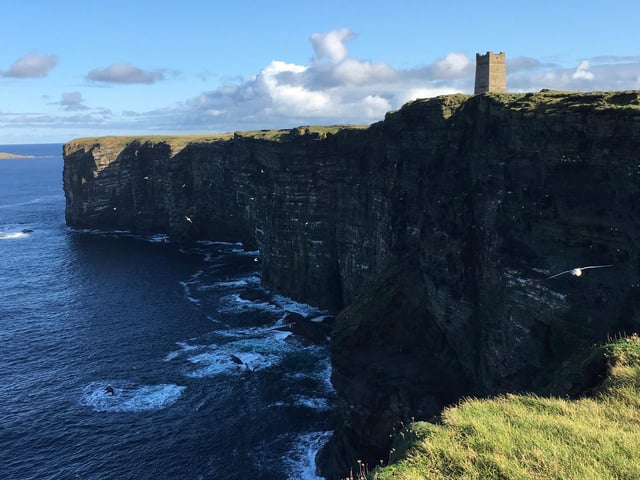 A powerful WWI monument and amazing seabirds meet at this special place.