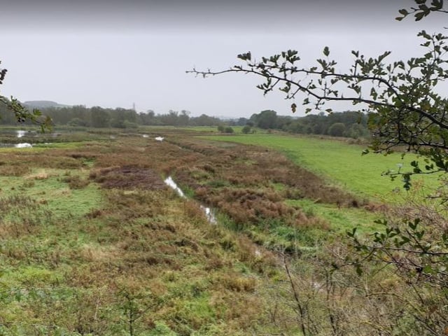 If you enjoy walking and exploring the country side, Erewash nature Reserve is just the place for you this weekend.