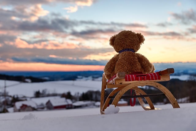 John James the teddy bear in Austria on a sleigh ride. 
These adorable teddy bears could be the world's most well-travelled cuddly toys - as their photographer owner has chronicled their adventures in 27 different countries. Christian Kneidinger, 57, has been travelling with his teddy bears, named John and Bob since 2014 - and his taken them to some of the world's most famous landmarks. The teddy bears have dressed up in traditional Emirati clothing to visit the Sultan's Palace in Oman, and have braved the cold on a glacier on Lofoten Island in Norway.