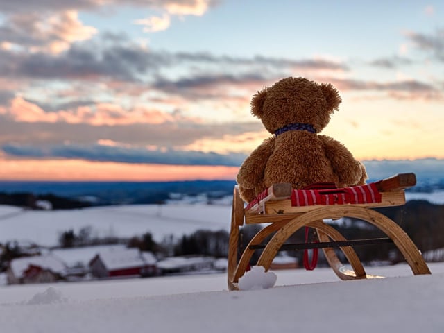 John James the teddy bear in Austria on a sleigh ride.
These adorable teddy bears could be the world's most well-travelled cuddly toys - as their photographer owner has chronicled their adventures in 27 different countries. Christian Kneidinger, 57, has been travelling with his teddy bears, named John and Bob since 2014 - and his taken them to some of the world's most famous landmarks. The teddy bears have dressed up in traditional Emirati clothing to visit the Sultan's Palace in Oman, and have braved the cold on a glacier on Lofoten Island in Norway.