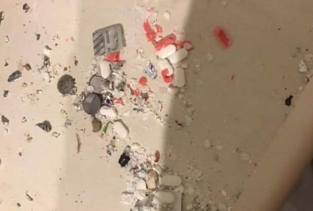 Remains of Penny's medication after rats ate it