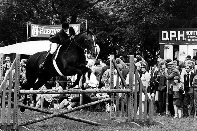 Hope Show 1975, Picture shows a horse jumping